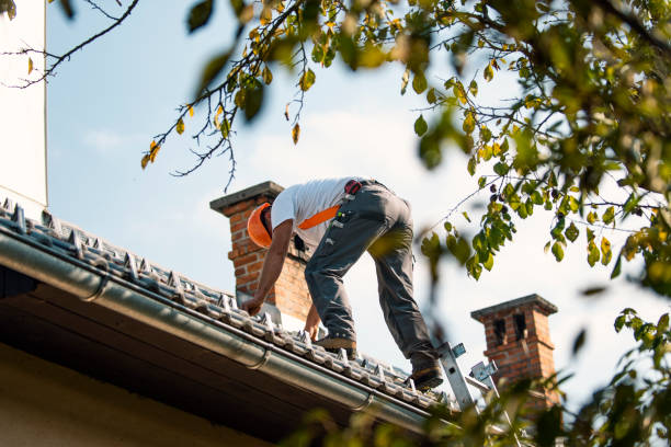 Best Storm Damage Roof Repair  in Burwell, NE
