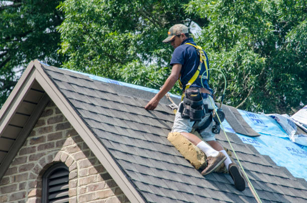 Best Gutter Installation and Roofing  in Burwell, NE